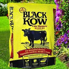 Black Cow Manure