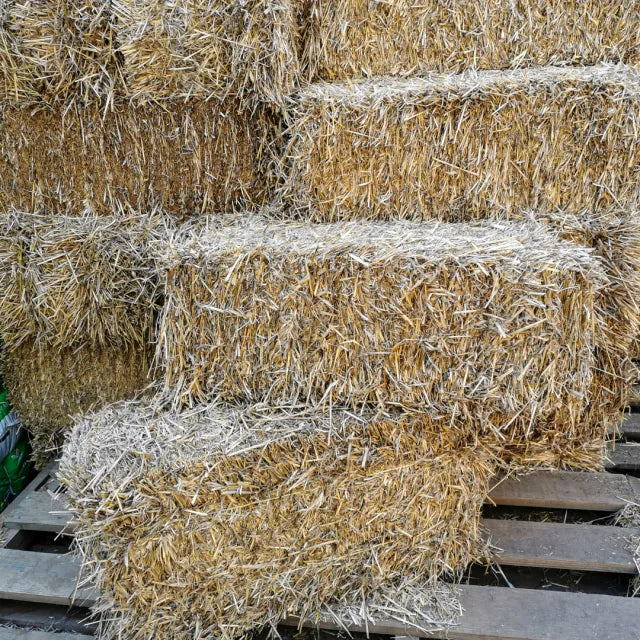 Baled Wheat Straw