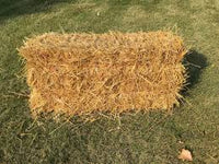 Baled Wheat Straw